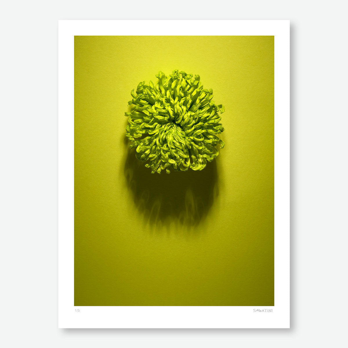 Shadows Bloom in Green