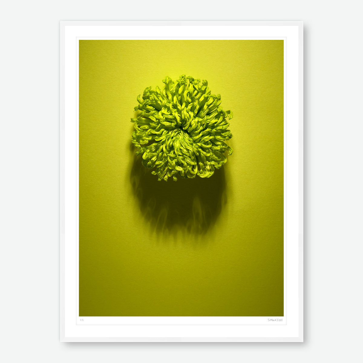 Shadows Bloom in Green