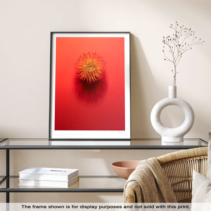 Shadows Bloom in Orange
