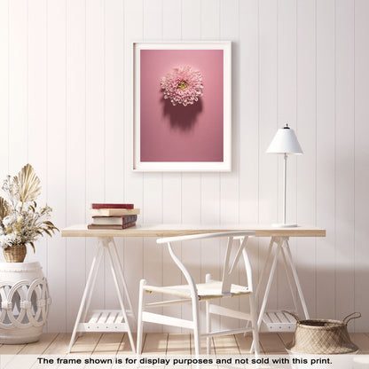 Shadows Bloom in Pink