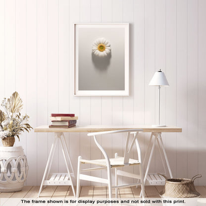 Shadows Bloom in White