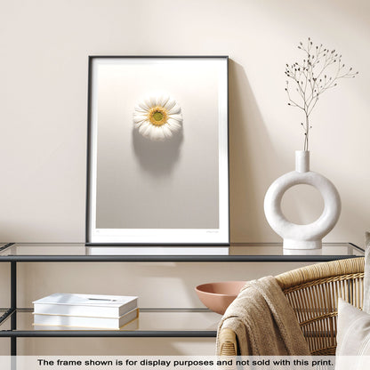 Shadows Bloom in White