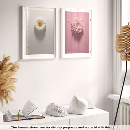 Shadows Bloom in White