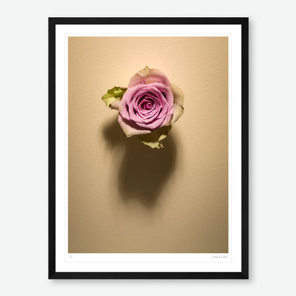 Shadow Bloom in Cream