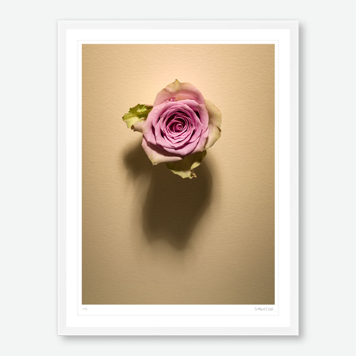 Shadow Bloom in Cream