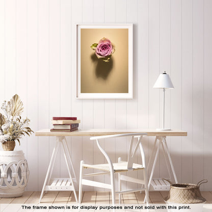 Shadow Bloom in Cream