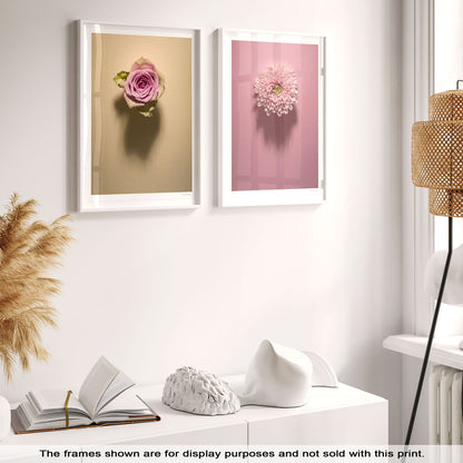Shadow Bloom in Cream