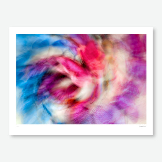 A colourful flight No2