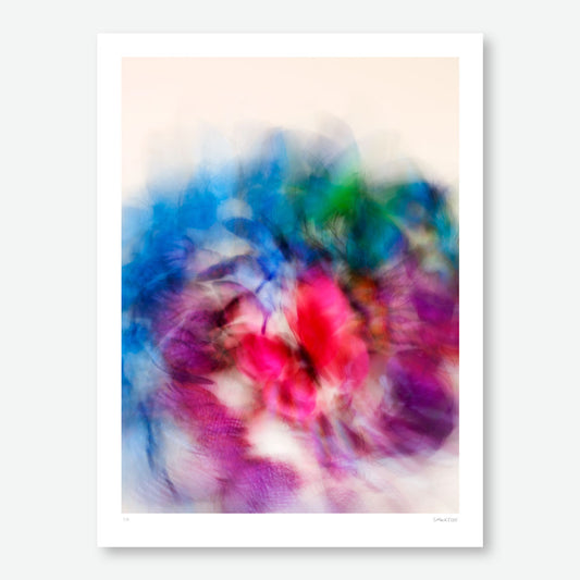A colourful flight No1