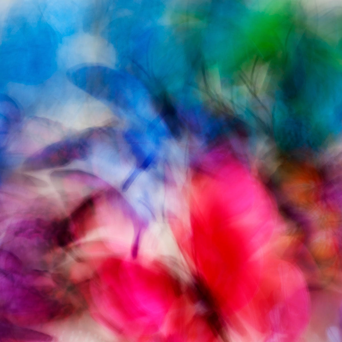 A colourful flight No1