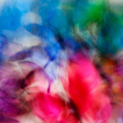 A colourful flight No1